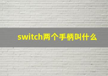 switch两个手柄叫什么