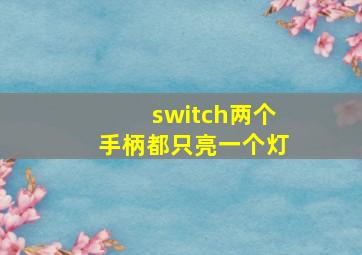 switch两个手柄都只亮一个灯