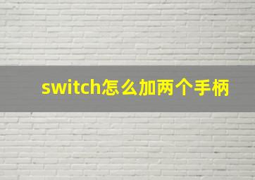 switch怎么加两个手柄