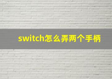 switch怎么弄两个手柄