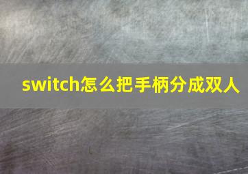 switch怎么把手柄分成双人