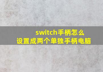 switch手柄怎么设置成两个单独手柄电脑