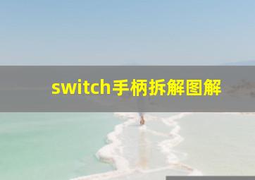 switch手柄拆解图解