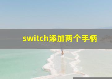 switch添加两个手柄