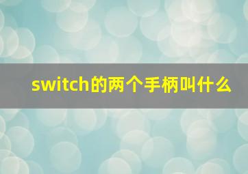 switch的两个手柄叫什么