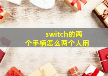 switch的两个手柄怎么两个人用