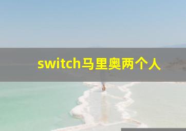 switch马里奥两个人