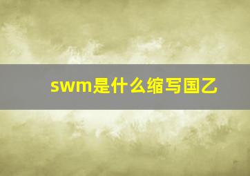 swm是什么缩写国乙