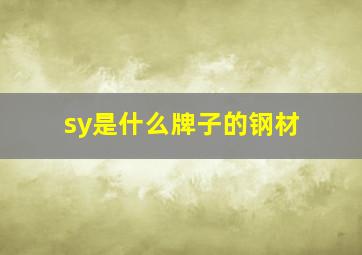 sy是什么牌子的钢材