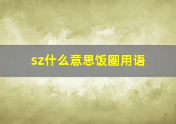 sz什么意思饭圈用语