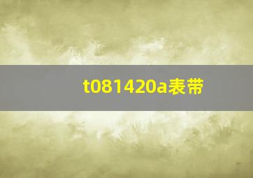 t081420a表带