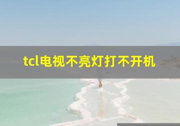 tcl电视不亮灯打不开机