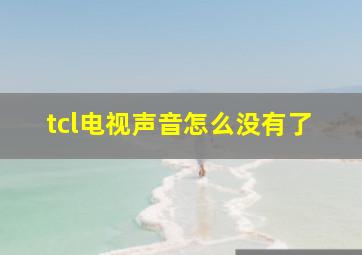 tcl电视声音怎么没有了