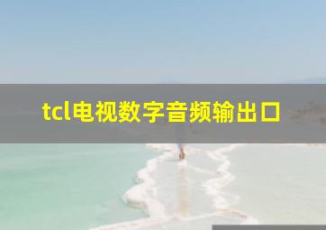 tcl电视数字音频输出口