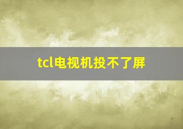 tcl电视机投不了屏