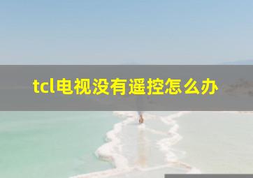 tcl电视没有遥控怎么办