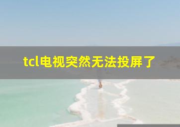 tcl电视突然无法投屏了