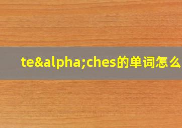 teαches的单词怎么读