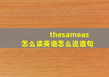 thesameas怎么读英语怎么说造句