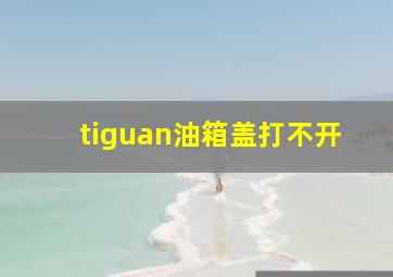 tiguan油箱盖打不开