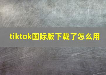 tiktok国际版下载了怎么用