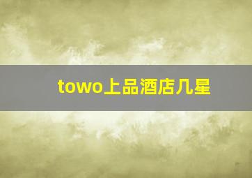 towo上品酒店几星