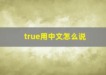 true用中文怎么说