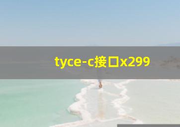 tyce-c接口x299