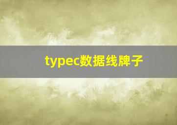 typec数据线牌子