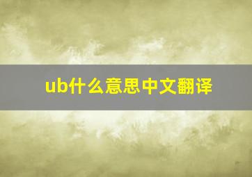 ub什么意思中文翻译