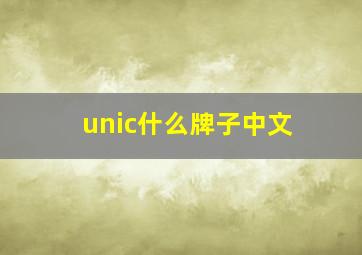 unic什么牌子中文