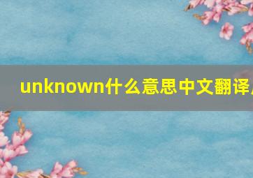 unknown什么意思中文翻译成