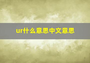 ur什么意思中文意思