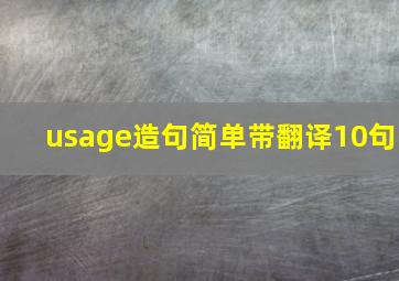 usage造句简单带翻译10句