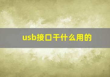 usb接口干什么用的