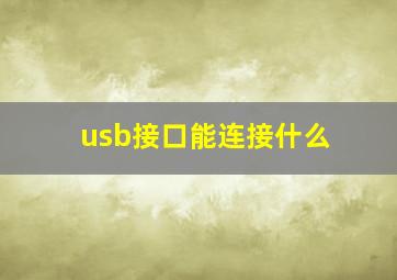 usb接口能连接什么