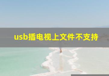 usb插电视上文件不支持