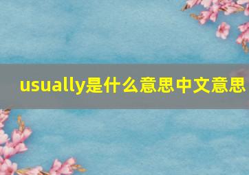 usually是什么意思中文意思