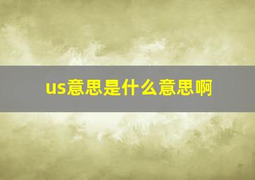 us意思是什么意思啊