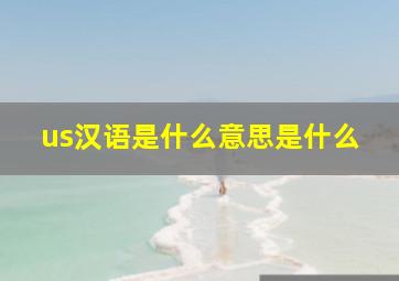 us汉语是什么意思是什么