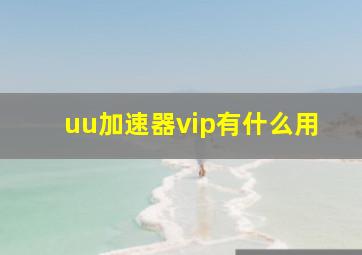 uu加速器vip有什么用