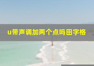 u带声调加两个点吗田字格