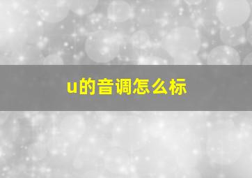 u的音调怎么标