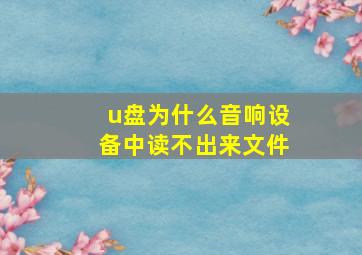 u盘为什么音响设备中读不出来文件