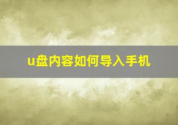 u盘内容如何导入手机