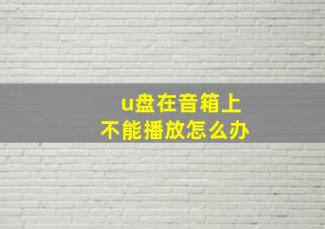 u盘在音箱上不能播放怎么办