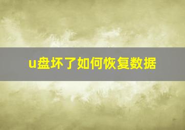 u盘坏了如何恢复数据