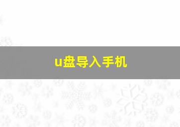 u盘导入手机