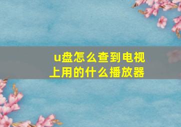 u盘怎么查到电视上用的什么播放器