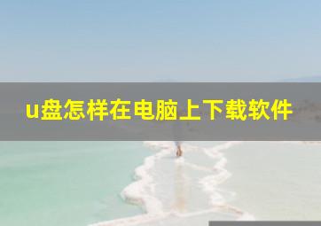 u盘怎样在电脑上下载软件